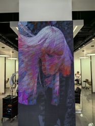 -Z.X HAIR SALON张新美业