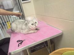 -北京观赏动物医院·24小时大型综合·猫专科·异宠专科