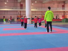-武术世家少儿培训中心(首都体育学院店)