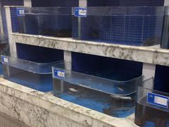 -香山湖渔家大院