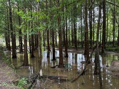 -天河潭旅游度假区