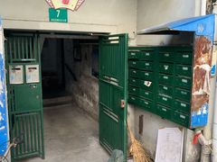 -水丰路鸡蛋饼