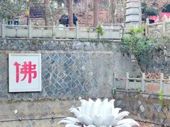 -灵顺寺