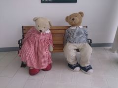 -济州岛泰迪熊博物馆