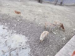 -扬州市茱萸湾风景区