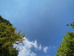 -五龙源极限漂流