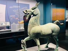 -广西壮族自治区博物馆