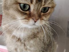 -藏猫猫咖啡主题馆(中央大道店)