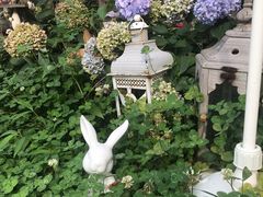 -荒度咖啡(北九水店)