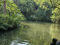 -西溪国家湿地公园