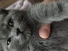 -佳雯宠物医院(四明中路分院)