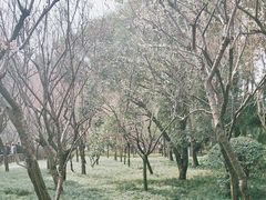 -成都杜甫草堂博物馆