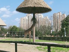-南昌动物园