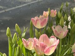 -胖哥川菜馆(武东路店)