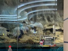 -帝企鹅自助餐厅•儿童岛•真企鹅(长隆企鹅酒店)