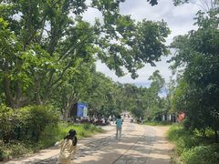 -紫金山山顶公园