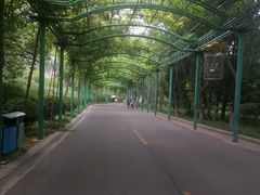 -石家庄市动物园