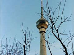 -中央广播电视塔