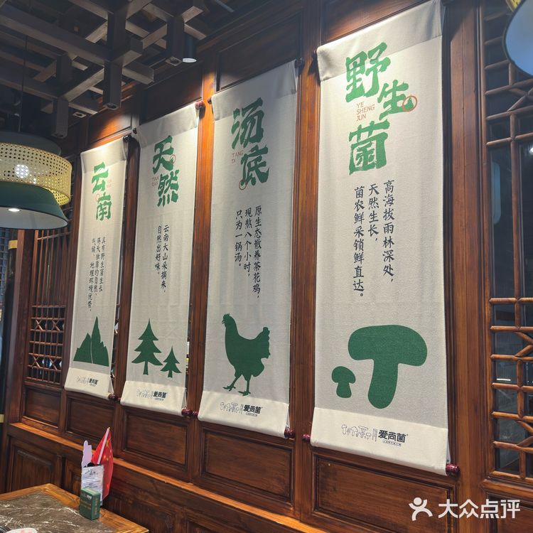 爱尚菌野生菌火锅超好吃