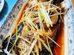 石斑鱼-盒马鲜生(龙德广场店)