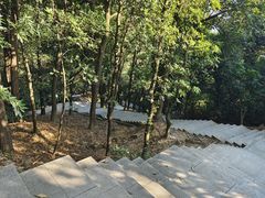 -火炉山森林公园
