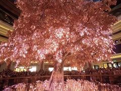 -永利澳门酒店