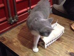 iphone_upload_pic-MIKAKU(万达广场上海宝山店)