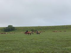 -塞罕坝国家级自然保护区