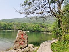 -紫霞湖公园