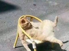 -柯达靓之彩影像网络(明瓦廊店)