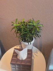 -Yestar杭州艺星医疗美容医院