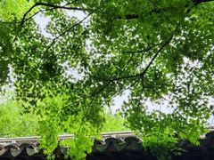 -惠山古镇·寄畅园