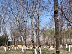 -大兴滨河森林公园