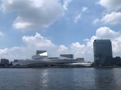 -白天鹅宾馆·流浮阁咖啡厅