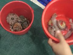 -QQ海鲜餐厅
