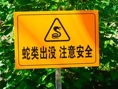 -白水寺森林公园