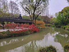-上海醉白池公园