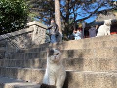-湛山寺