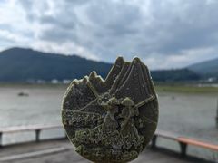 -腾冲北海湿地