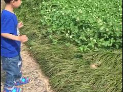-堤角公园