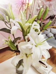 -美肤盾祛痘·问题肌头疗管理中心