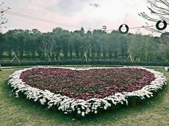 -天适樱花悠乐园