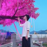 杭州旅游打卡必去｜狐妖小红娘景区