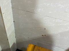 -老黄记手撕烤兔(玉林街店)