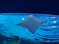 -海昌极光餐厅