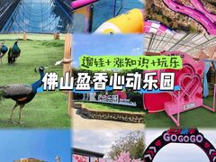 -盈香心动乐园