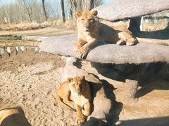 -北京野生动物园