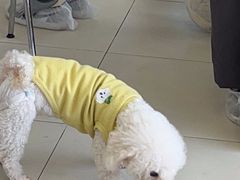 -怪兽屋·羊驼·猫咖·狗咖(俊华广场店)