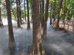 -东湖落雁景区