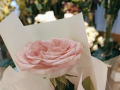 -BOBLOOM花店(宝龙旭辉广场店)